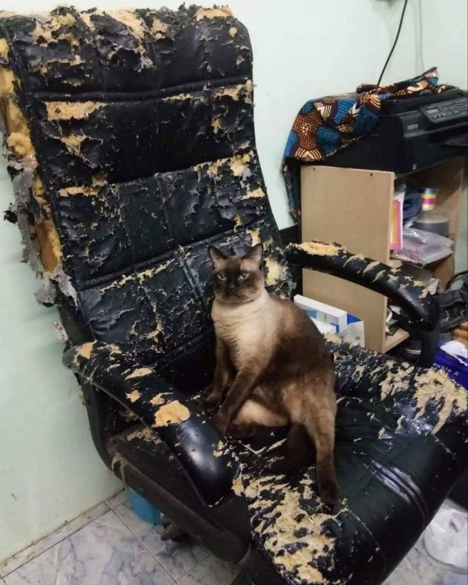 CatWorkers's tweet photo. The artist and his work. https://t.co/f1ZbkNq5RL