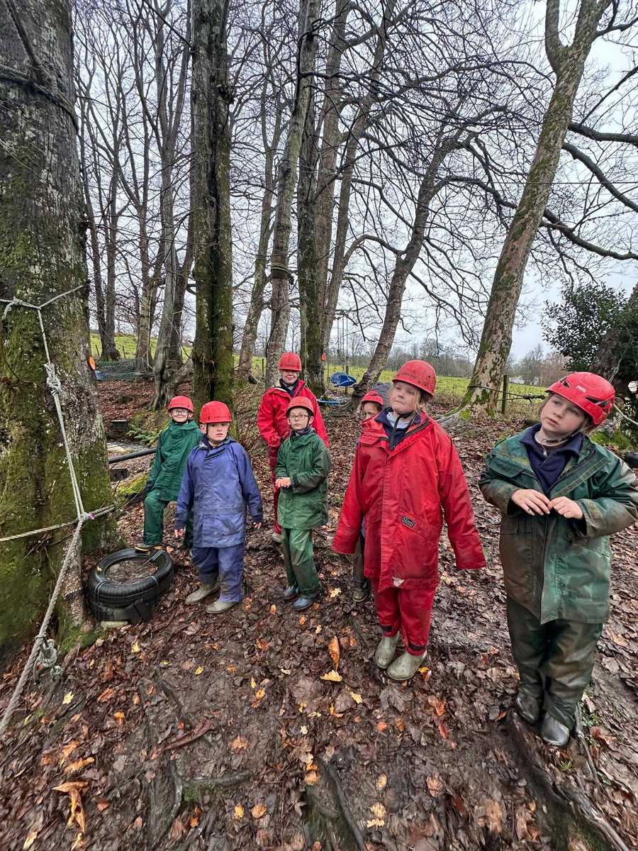 Langfaulds Primary School & LCR tweet media