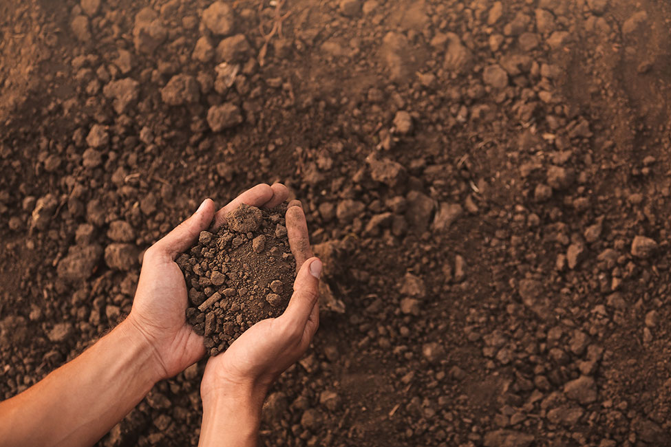 🌱 Dig into soil science!

Join Assistant Prof. Perl Egendorf, PhD, for a hands-on exploration with The Mobile Soil Lab. Discover how soil connects ecosystems, climate, &amp; community.

🗓️ Nov. 15, 12:00 p.m.
📍 Suburban Biodiversity Conservation Center

brnw.ch/21wXsx5