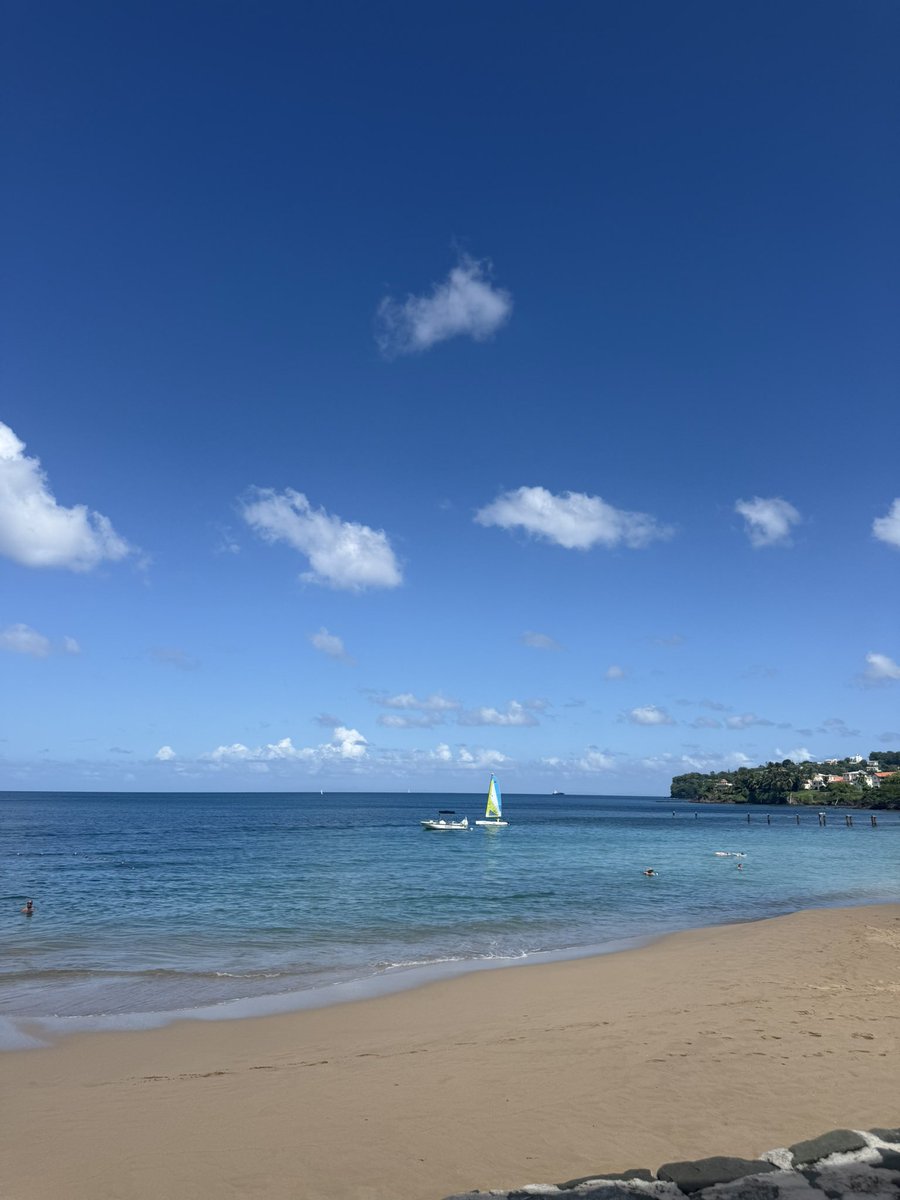 Lena Springer-Medina tweet media