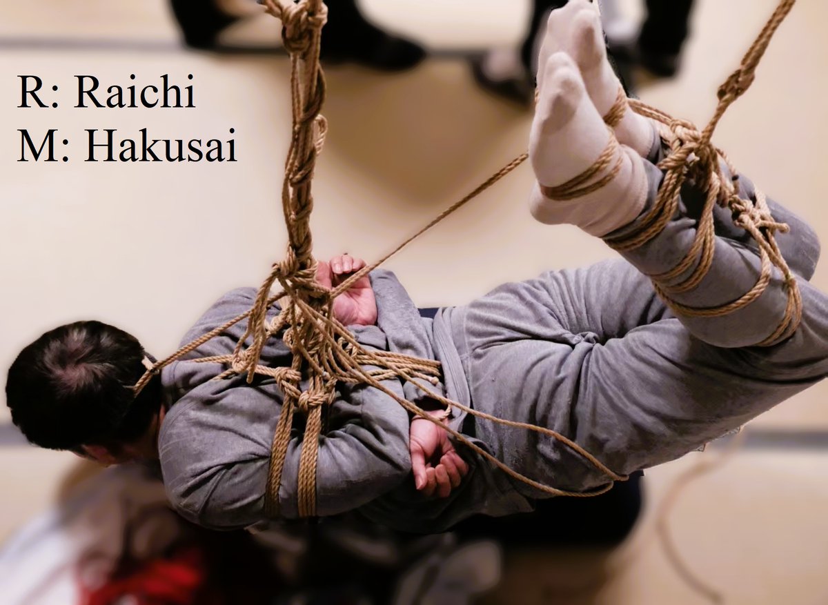 时间像河流般慢慢流淌，
金色的树叶随风摆动，
在阳光下跳舞。
我，
偏爱这交织在躯干上的绳，
每一处都编织着慢下来的心境。
特别感谢拥有无限潜力和体力的缚手：荔枝！
<a href="/KamikiRaichi/">上木荔枝</a>