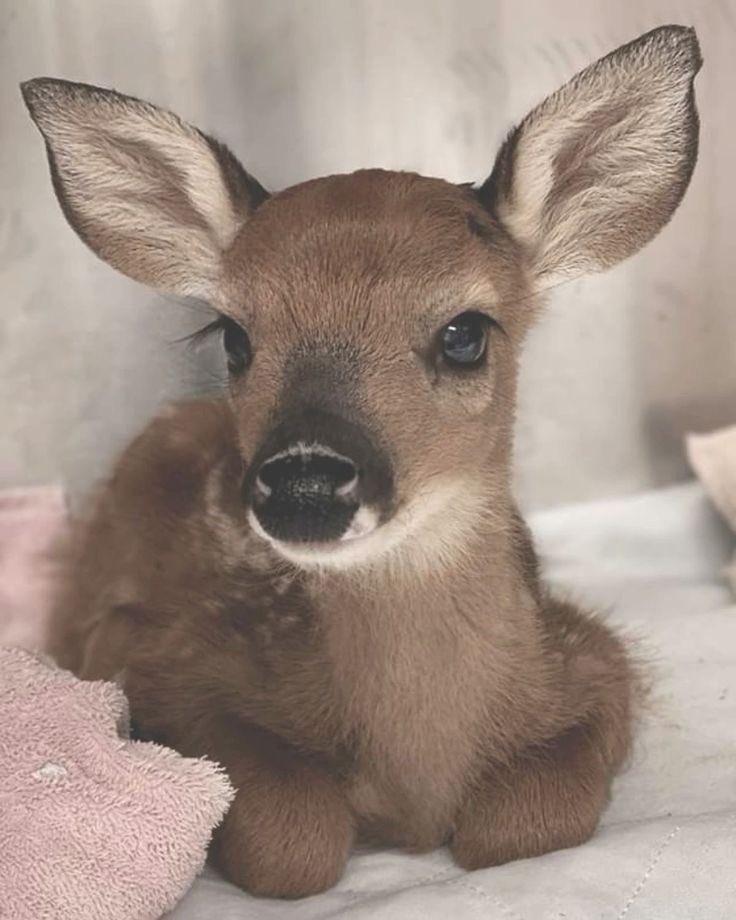 Yuma!!🍷 (shtwt/edtwt) tweet media