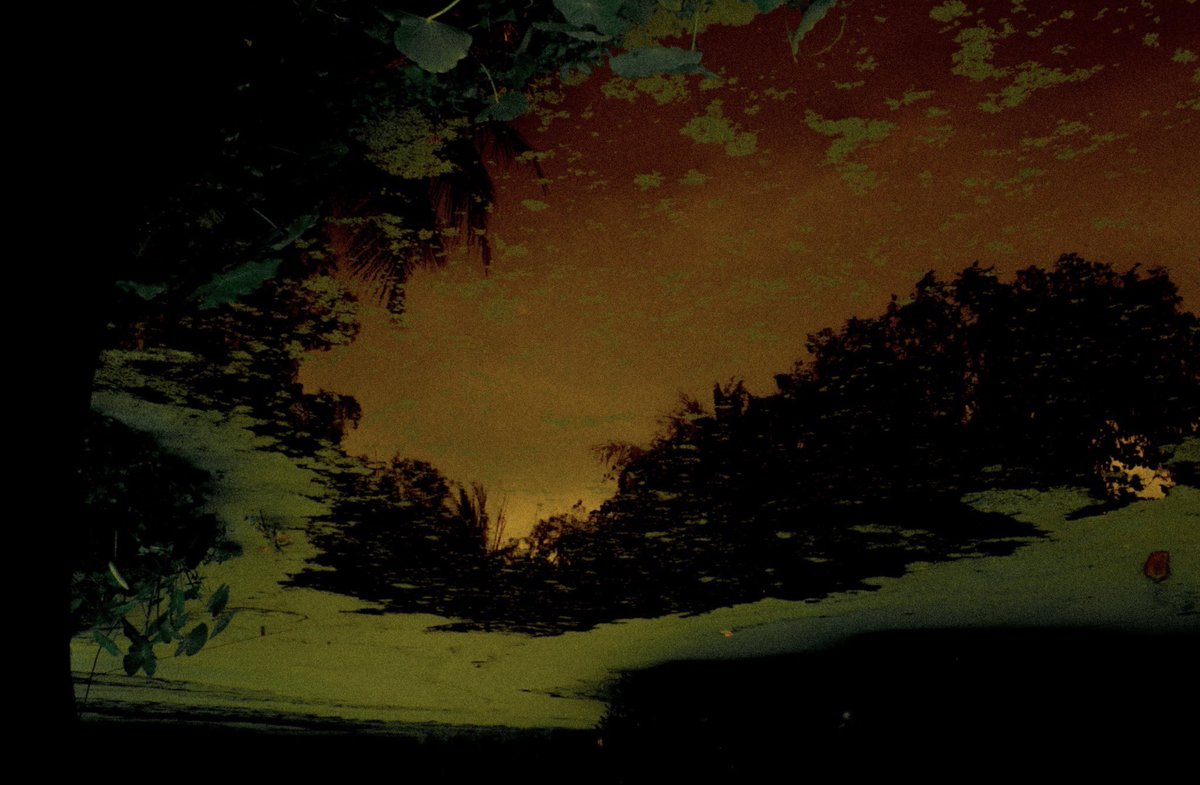 Vijay Sarathy tweet media