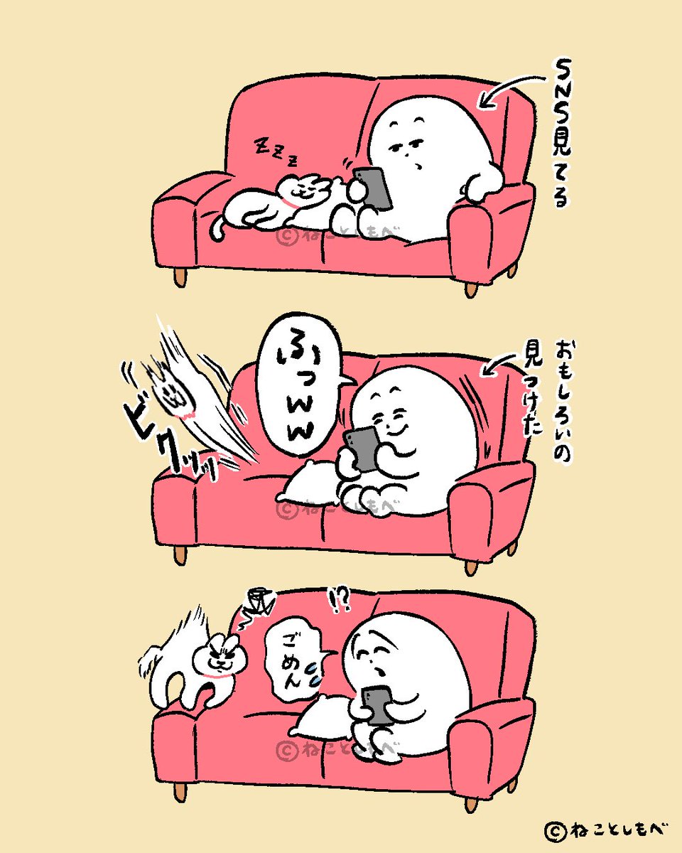 ねことしもべ (@nekotoshimobe) / Posts / X