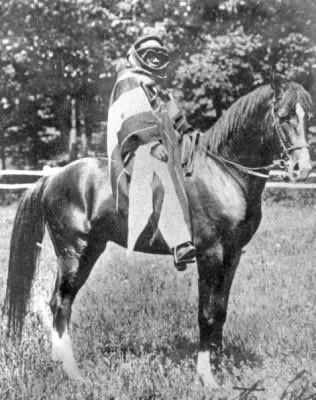 قريباً فلم 
 سينمائي أمريكي من فئة أفلام المغامرات، مستوحى من الرحلة التاريخية لهومر دافنبورت (1905 – 1906م) إلى مضارب قبيلة #عنزة، حيث التقى بالشيخ حاكم بن مهيد وقدم له فرسه الشهيرة “ودودة”.بحسب مانشرت شركة تاليس تيل الأمريكية 

يروي الفيلم قصة "الرفاق هومر دافنبورت والشيخ حاكم