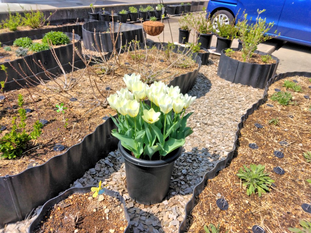 趣味の園芸コミュニティ Community on X - 85 Members