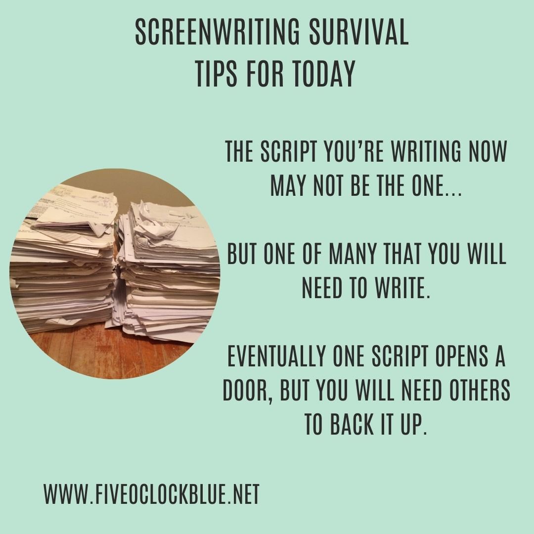 scriptcat's tweet image. 