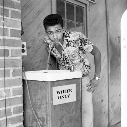 Ipostmilfs117's tweet photo. @DOGE__news And yet when we asked for you people to respect our spaces you somehow found your way in. I might as well consider these two white gentleman the equivalent to Rosa Parks. Absolute abolitionists and activists brave enough to stomp out white oppression and suppression. https://t.co/UO0QikNhgU