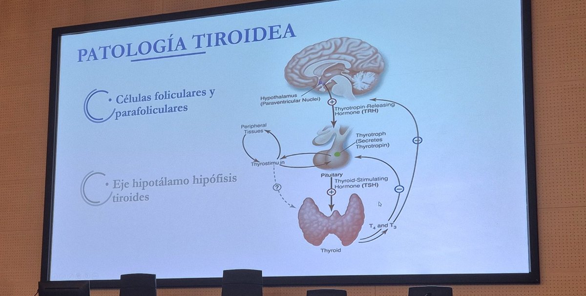 Endo-Nutri H.U. Río Hortega tweet media
