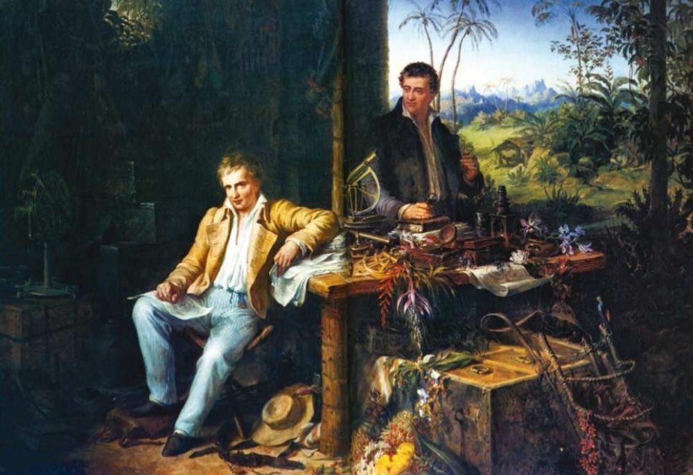 ForestPlots tweet media