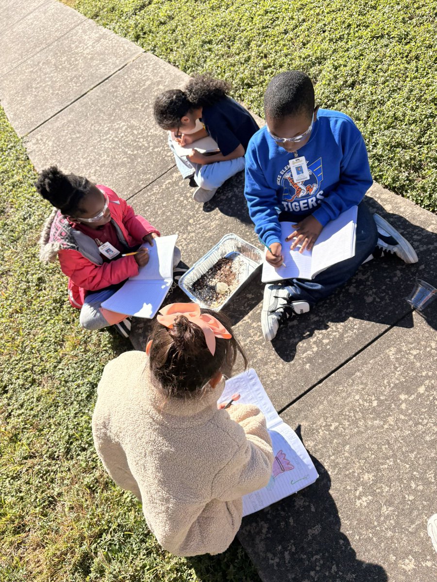 Madison Sutton tweet media