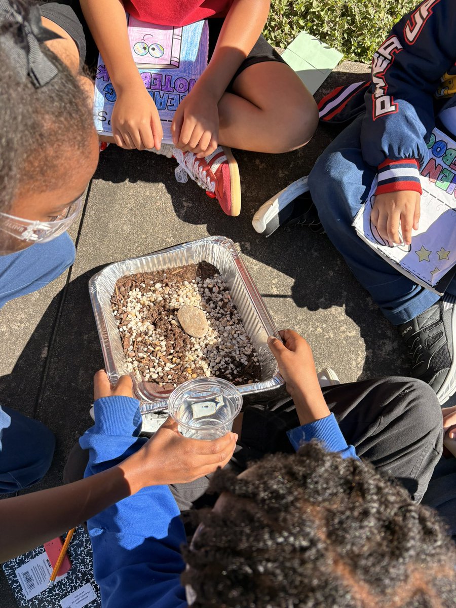 Madison Sutton tweet media