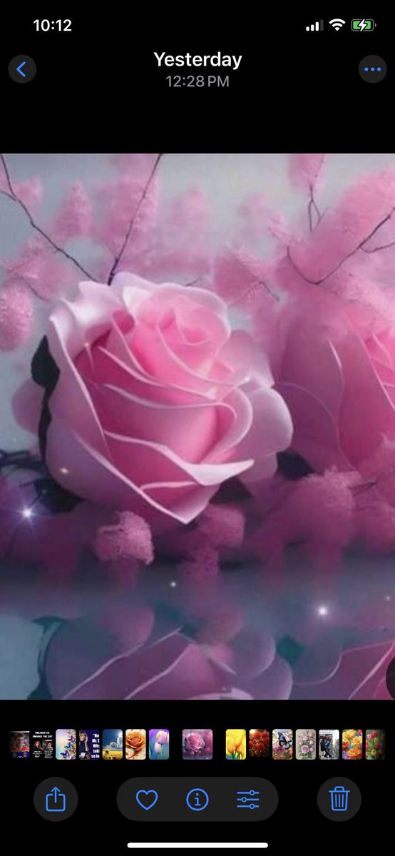 C M (Sabu1) tweet media