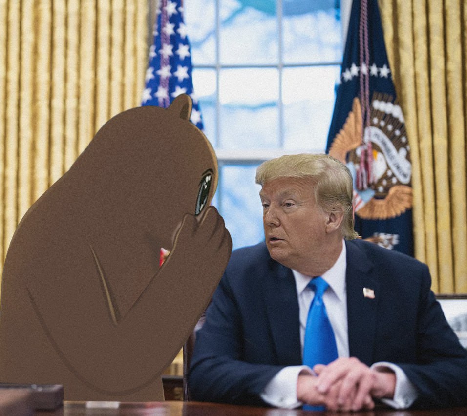 local bottom? pwease?