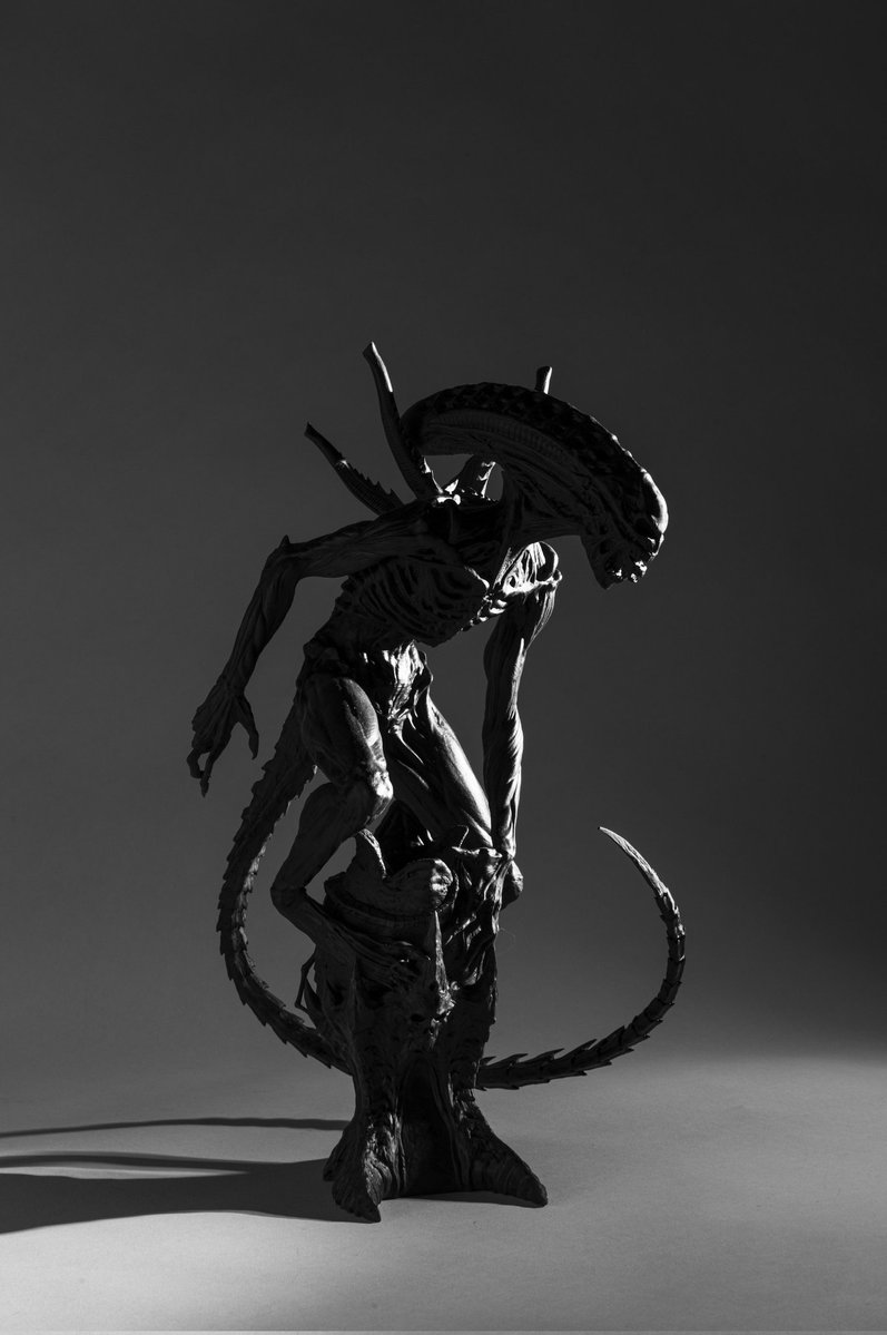 WillsWills16442's tweet image. Alien wacom pen holder  3D painted and printed figure.
#alienwacompenholder
#printedmodel