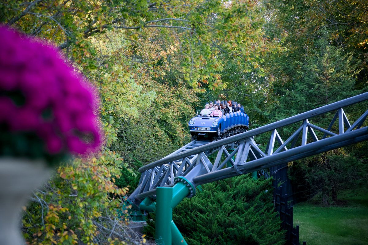 Looking forward to the revamped Verbolten.  Just hope whatever they do is easy to maintain. <a href="/BuschGardensVA/">Busch Gardens Williamsburg</a>