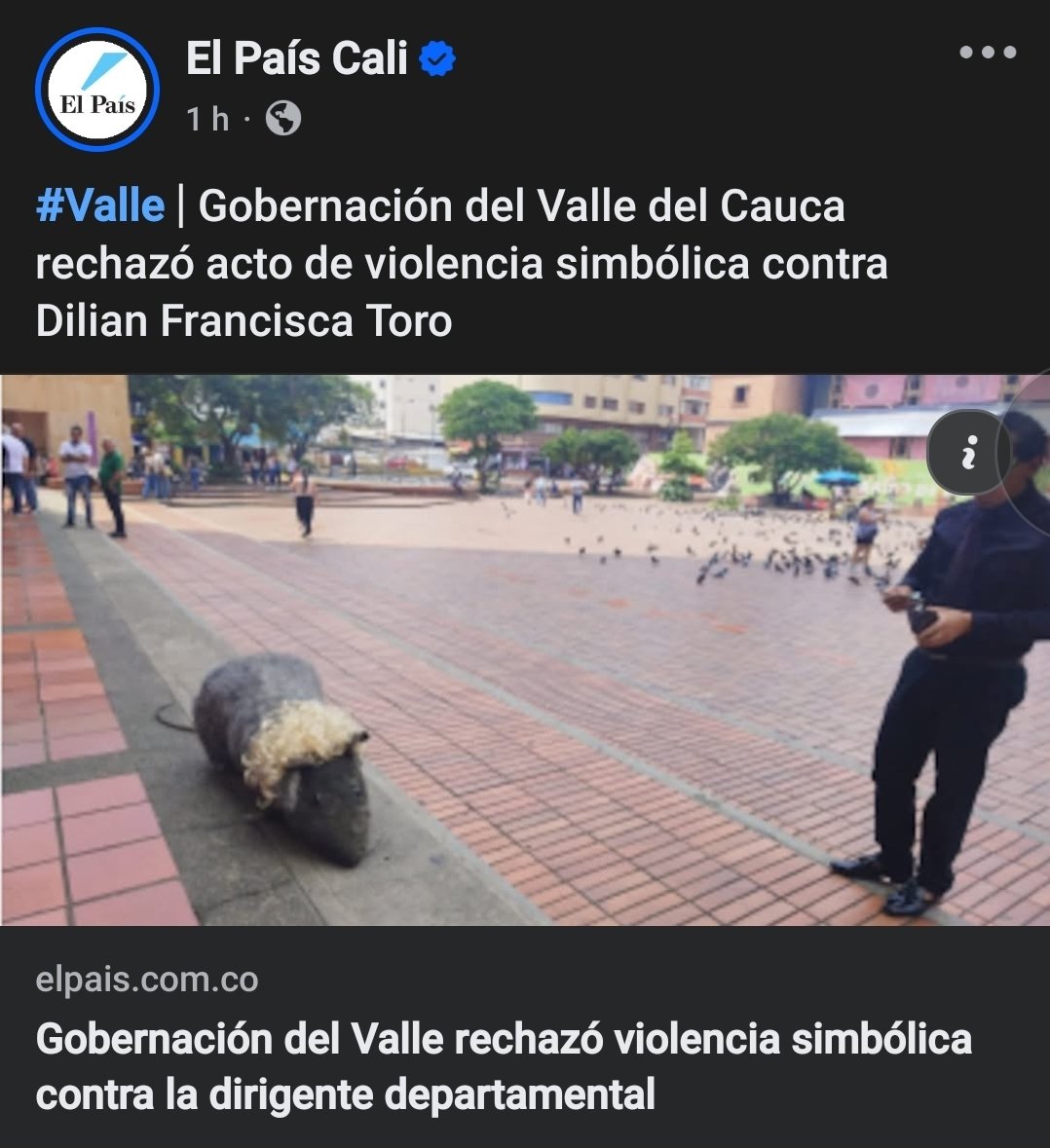 La única violentada aquí es la pobre rata, ¿Cómo se le ocurre compararla con <a href="/DilianFrancisca/">Dilian Francisca T.</a>?