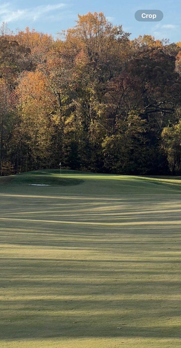 CompassTurfCare's tweet image. Thursday- Patchy frost.... no delays. Scatter cart rule. Driving range mats and practice area are open.  Another windy day..... leaves will be an issue on a couple holes. Please yield to the staff blowing leaves.