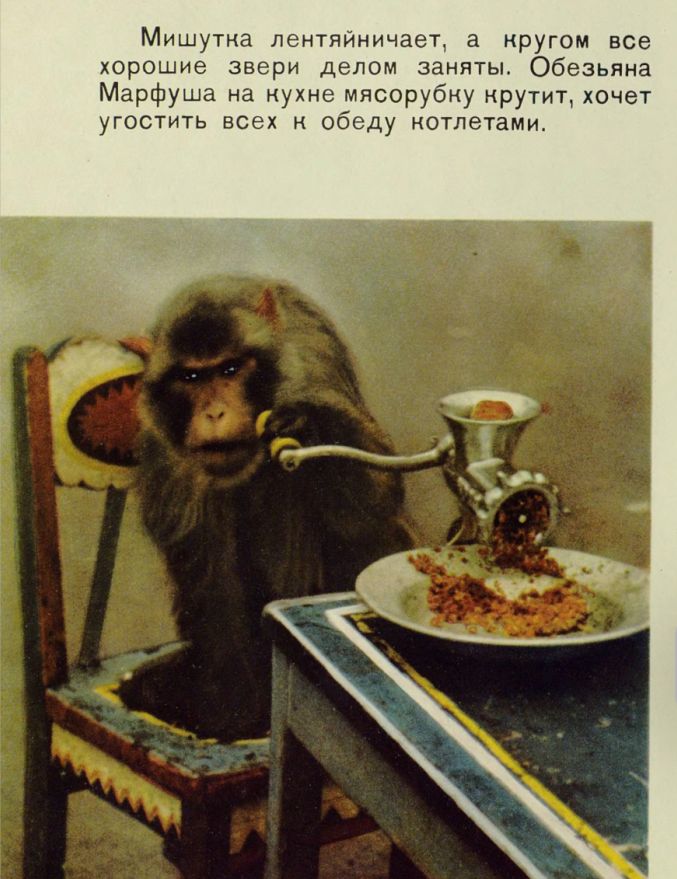 Трудное счастье (@ludwig095) on Twitter photo 