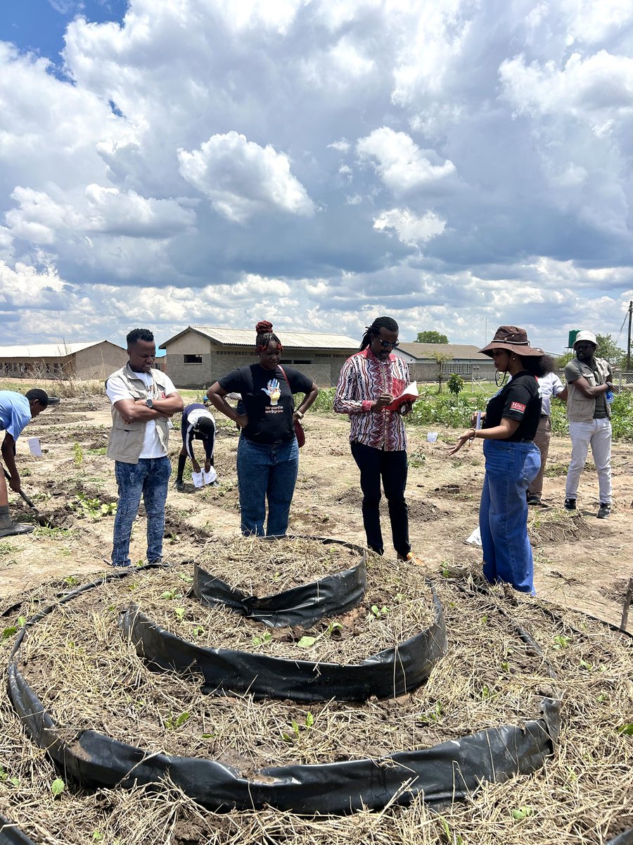 hut_green's tweet photo. Hivos visited Prestige High School today to see the food forest established by the Bulawayo #UrbanFutures Consortium. Students proudly shared their journey and how they’re helping build climate resilient urban food systems.
#fowardwegrow #ClimateAction #Sustainability https://t.co/xm2hvzhl8Y