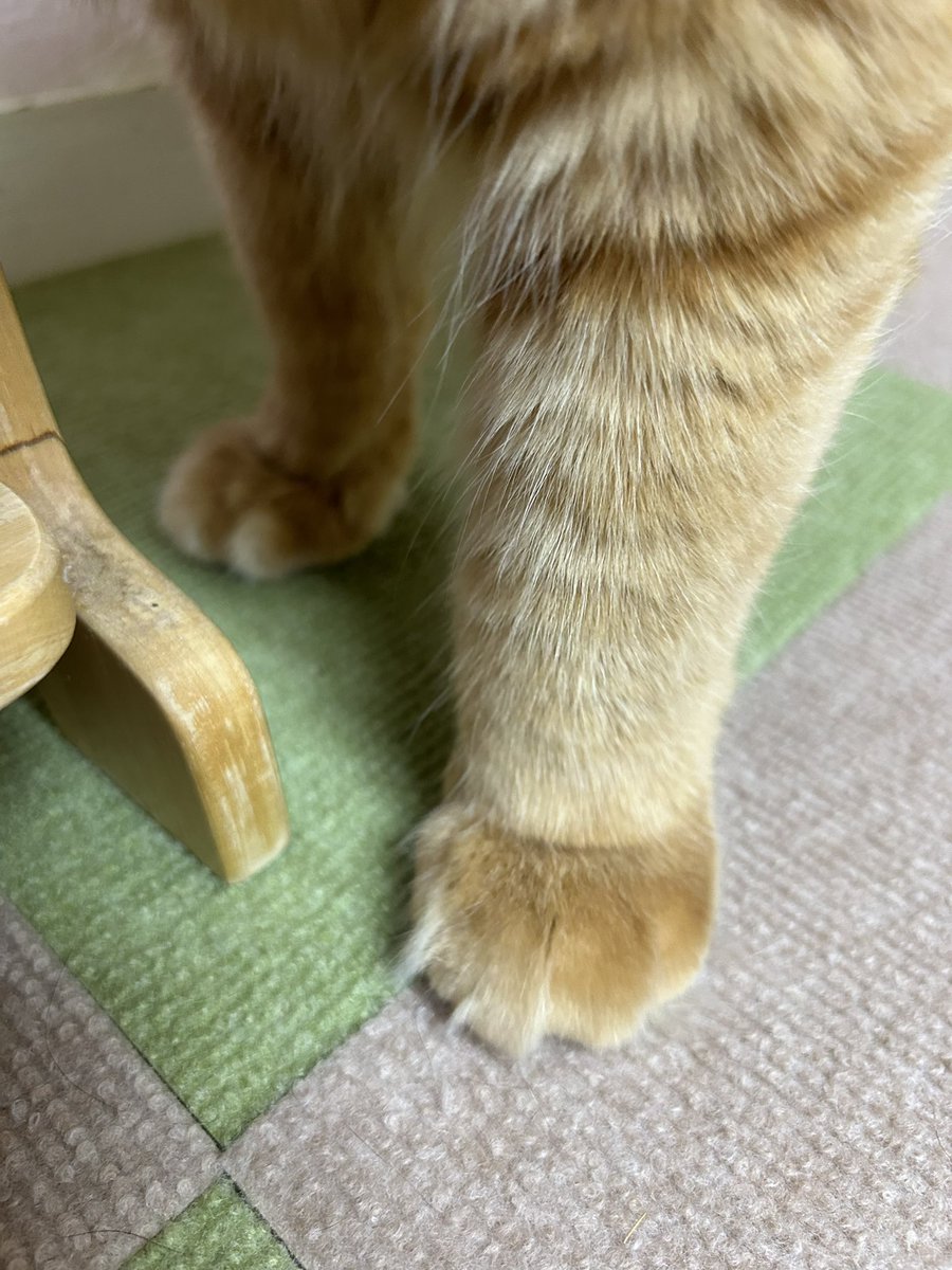 この仔は誰かなー😁