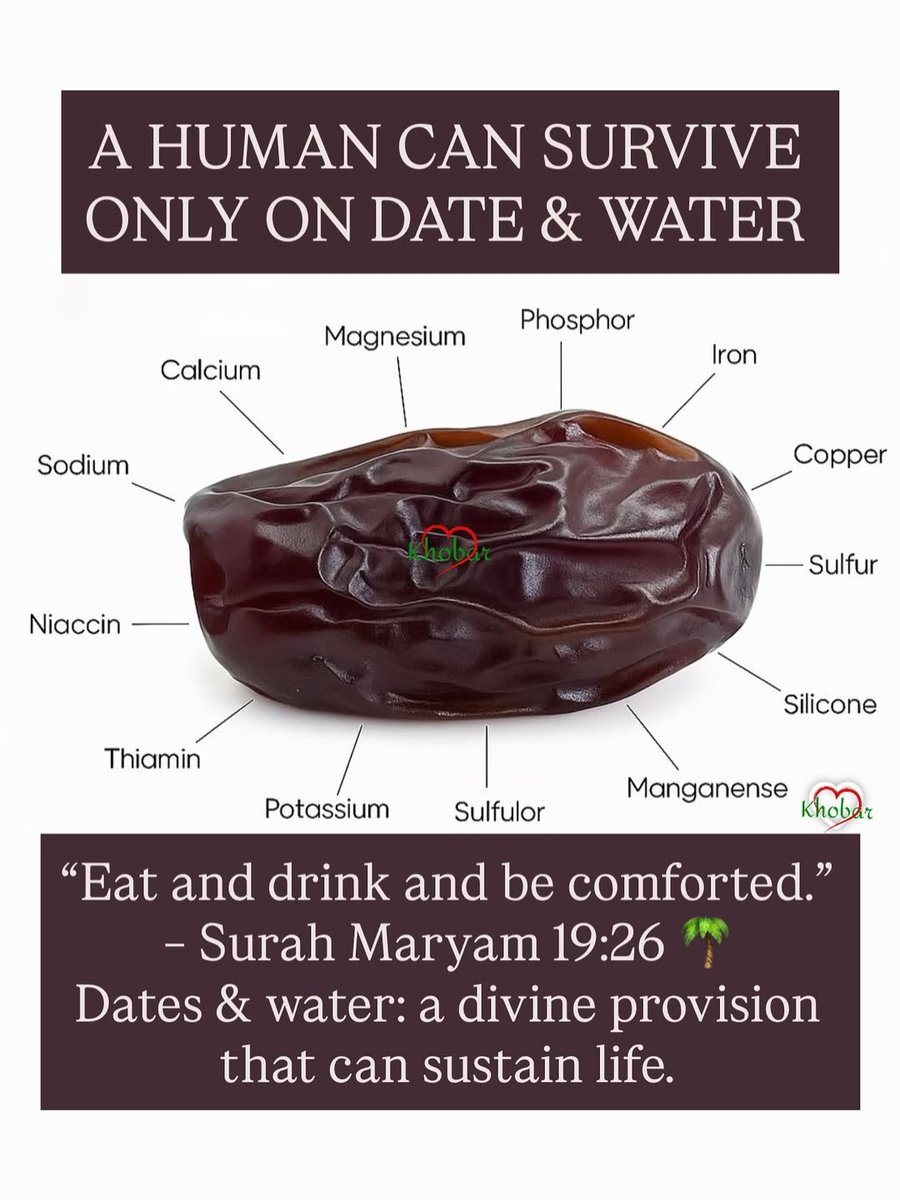 Subhanallah!!!
A human can survive only on date and water