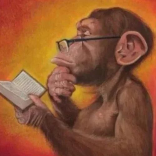 wise monkey (@wisemonkonsol) on Twitter photo 