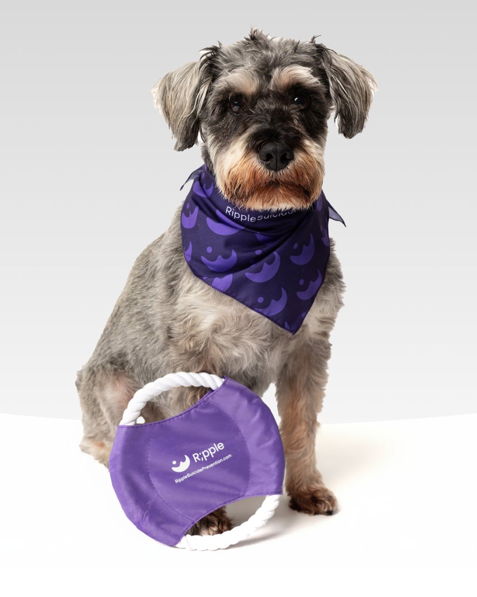 Ripple Suicide Prevention tweet media