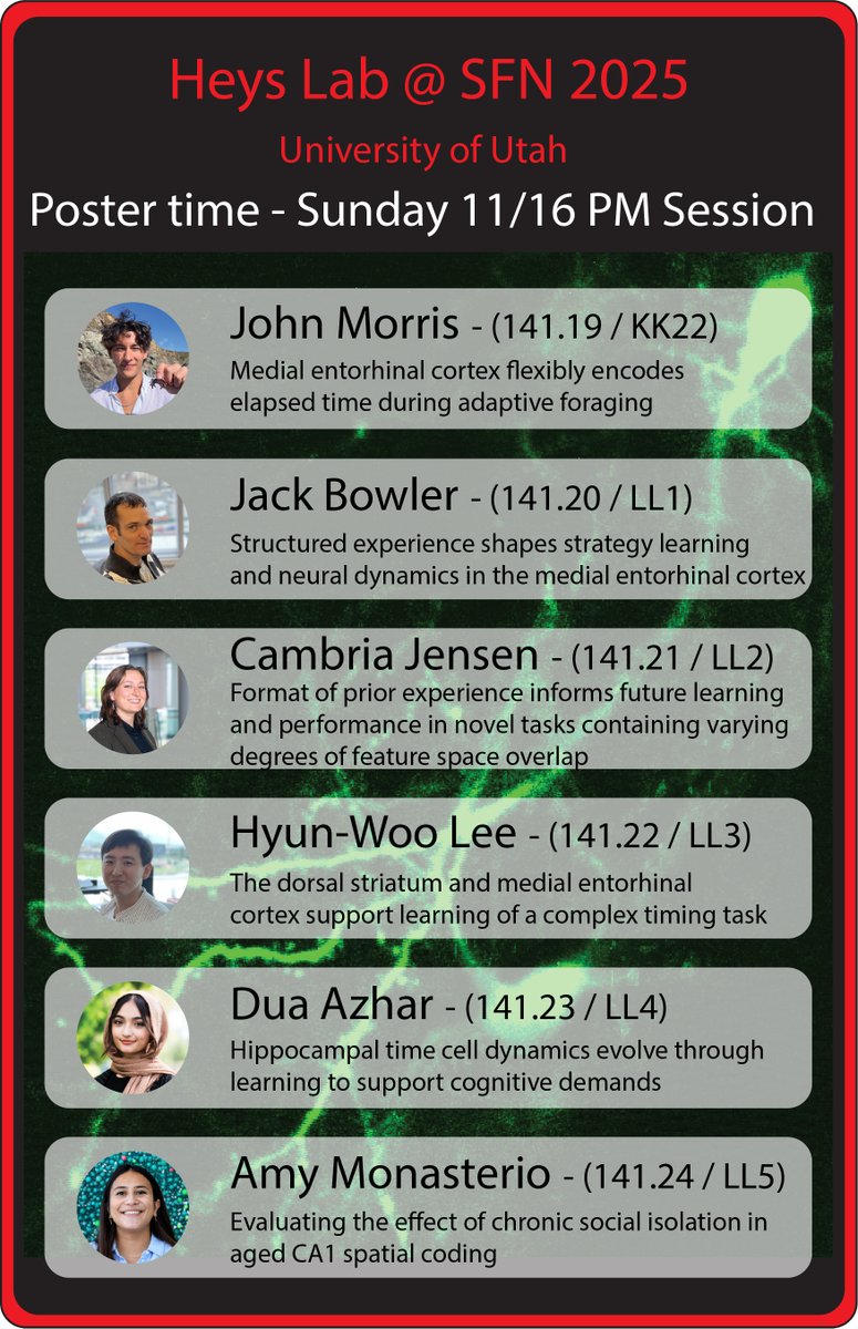 jamesgheys1's tweet image. Excited to share new work from our lab at #SfN2025! @SfNtweets 

Posters span how the brain learns about time and space—from foraging and MEC dynamics, to RNN + hippocampus in curriculum learning, to MTL vs striatal activity across learning, and cognitive aging. 

Check them out!