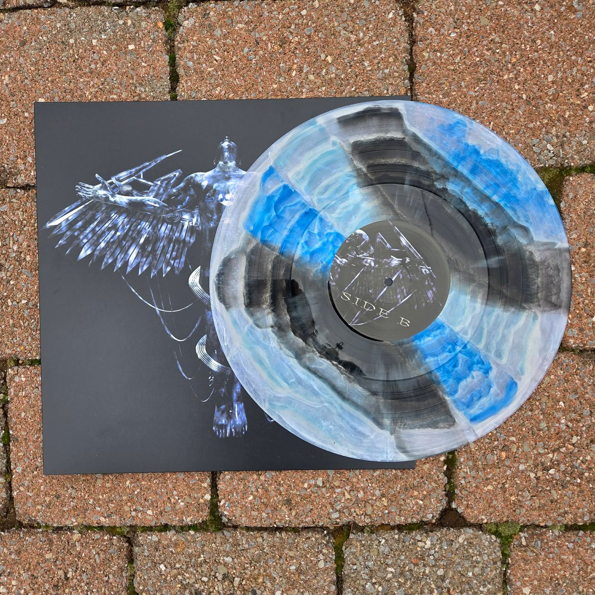 Silverback Gorilla Records tweet media