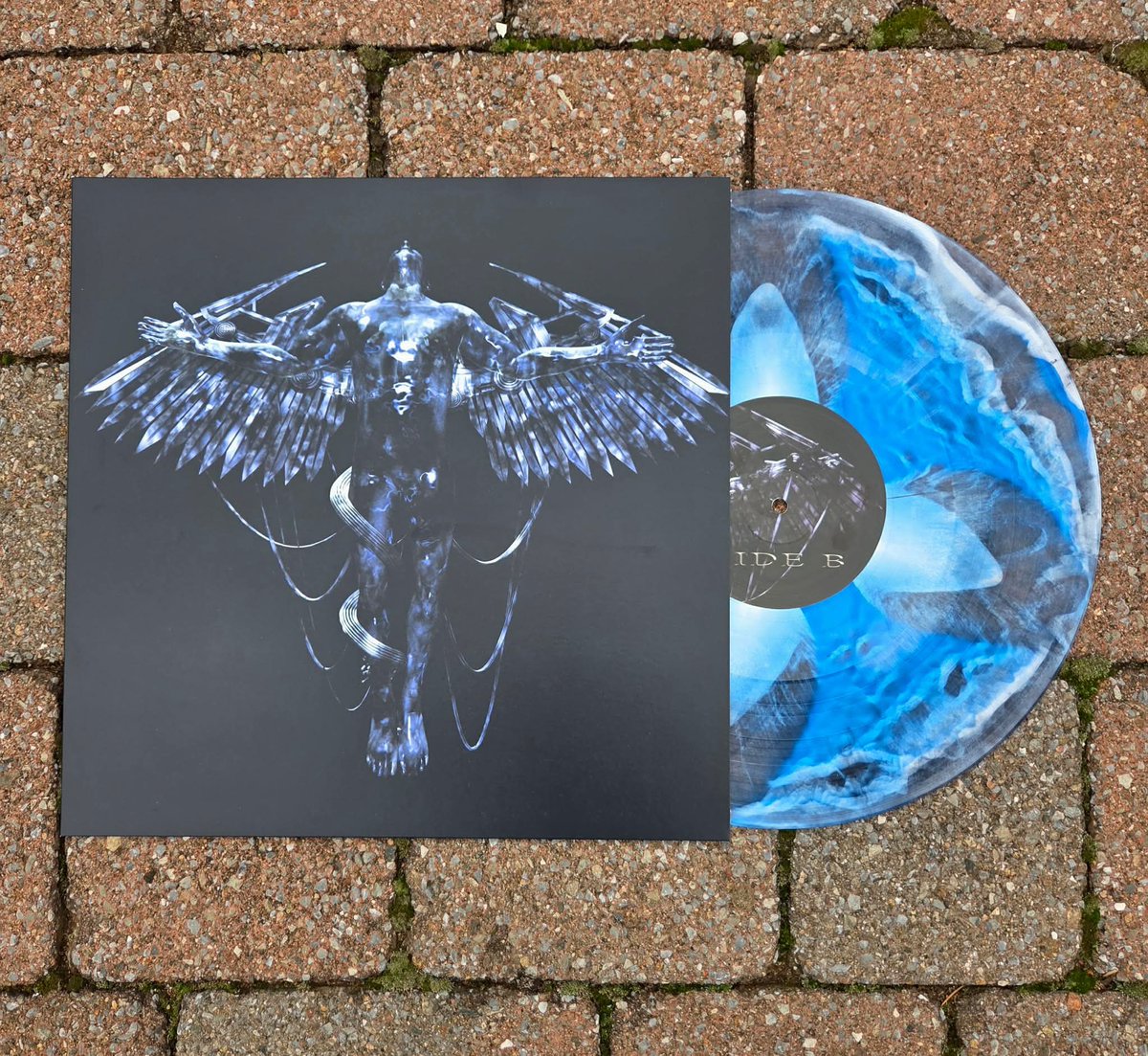 Silverback Gorilla Records tweet media