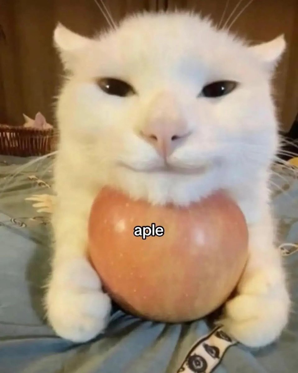 Mi profesor de gerencia publica y trajo sandwiches y jugo por ser el último día de clases, profesor Arnold, lo quiero mucho