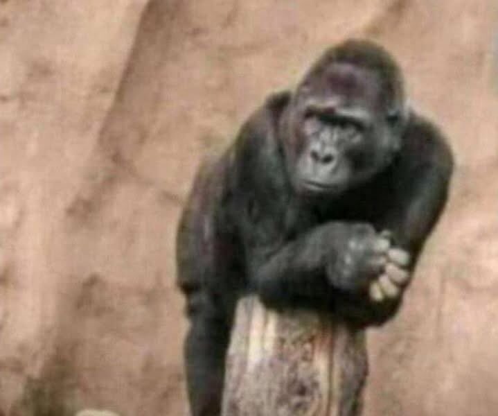 "I will refund it tomorrow " It's been a year mf...happy anniversary you thief😭😭