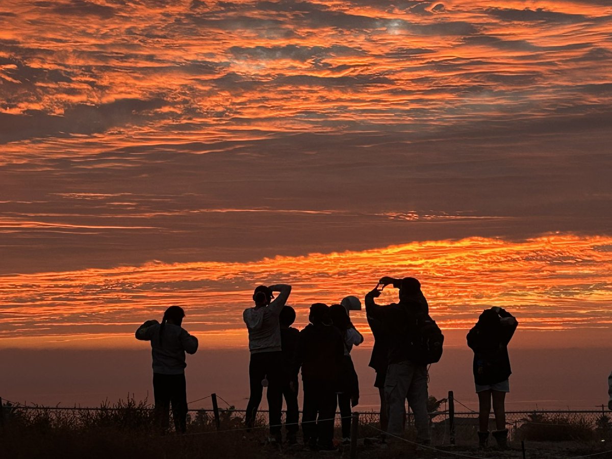 Pamela Damonte VN-VG Community of schools tweet media