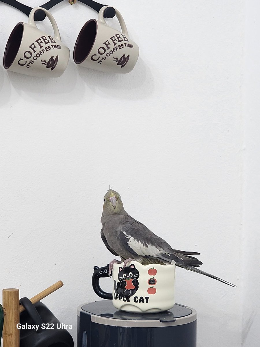 الي ساعة بدوّر عليه🙃🙃