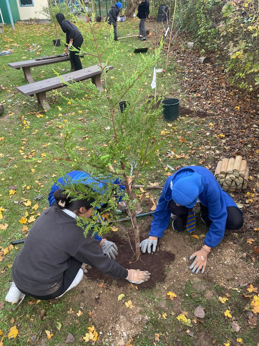 Creative Sports Coaching CIC tweet media