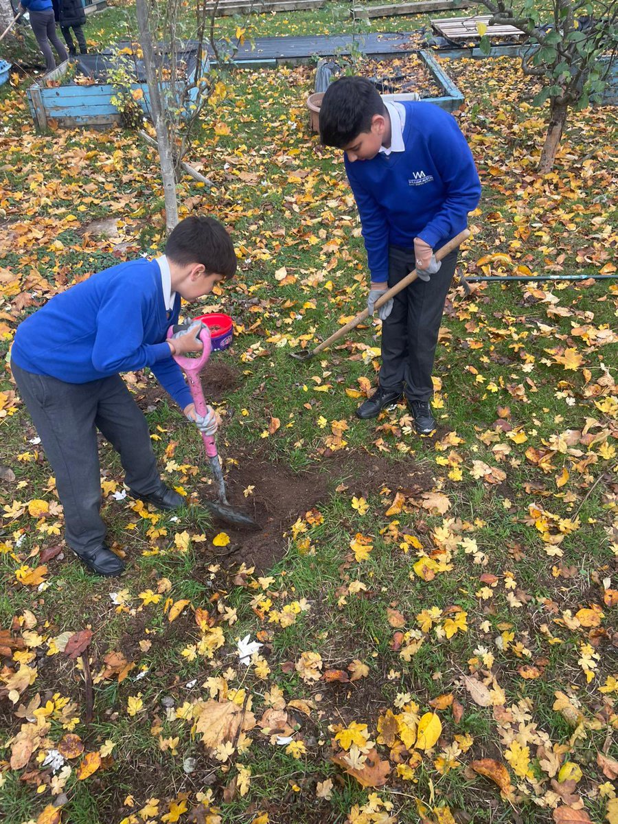 Creative Sports Coaching CIC tweet media