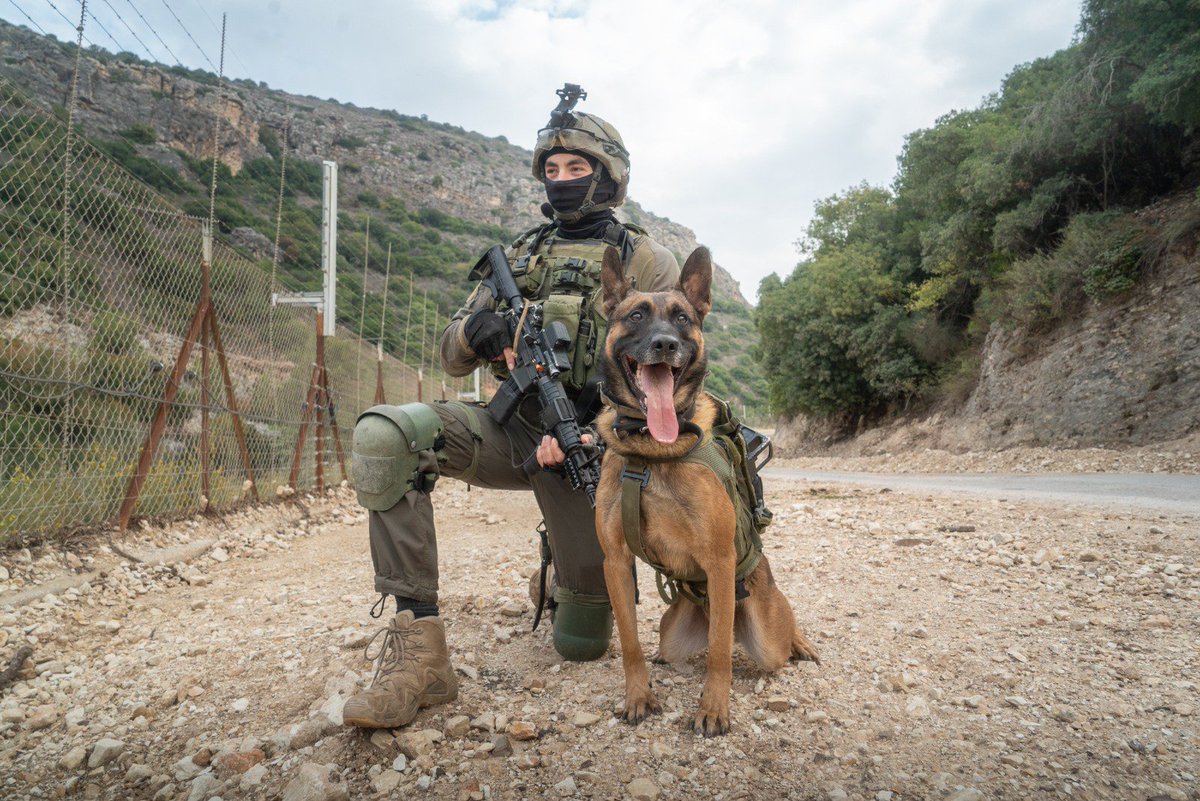 SayeretIL's tweet photo. Timeline cleanse: Oketz Unit soldier with his Belgian Malinois 🔥🔥🔥

#IDFHeroes #Oketz https://t.co/rgPQrfPHI2