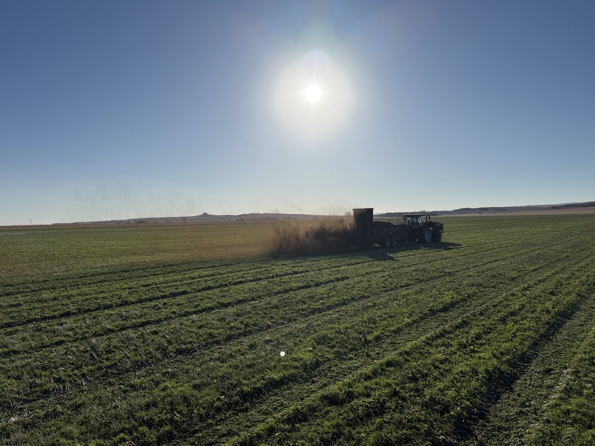 Joe Breker tweet media