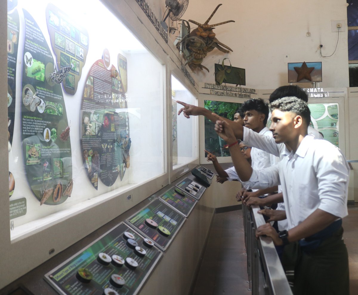 IndianMuseumKol's tweet image. On 13 Nov 2025, students and teachers of Gangadharpur Vidyamandir visited Indian Museum as part of their educational tour. The visit offered young learners an engaging journey into India’s rich history, art, and cultural heritage. #LearningOutsideTheClassroom #MuseumExperience