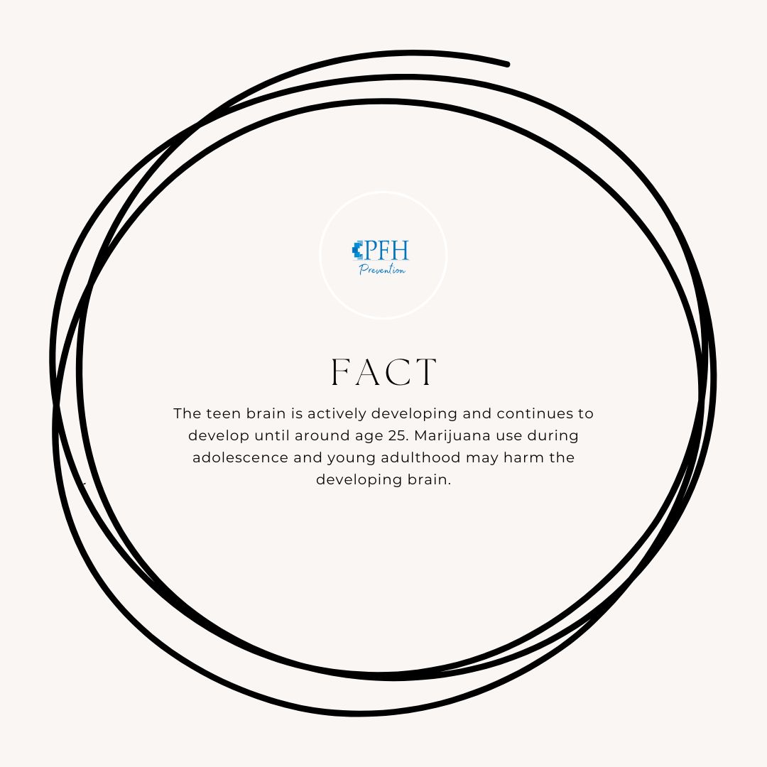 pfhprevention's tweet image. Protect the Developing Brain 
The teen brain keeps developing until around age 25. Using marijuana during adolescence and young adulthood can harm brain development and impact learning, memory, and decision-making. 💙

#YouthHealth #BrainDevelopment #MarijuanaAwareness