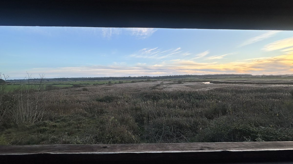 Bfbirdsofprey's tweet image. A hide with a view.  Late afternoon at Holkham.