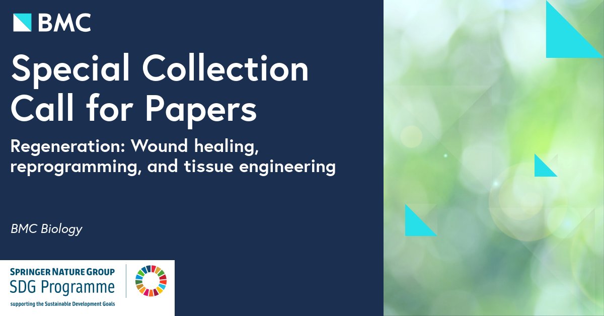 Valentina Cigliola tweet media