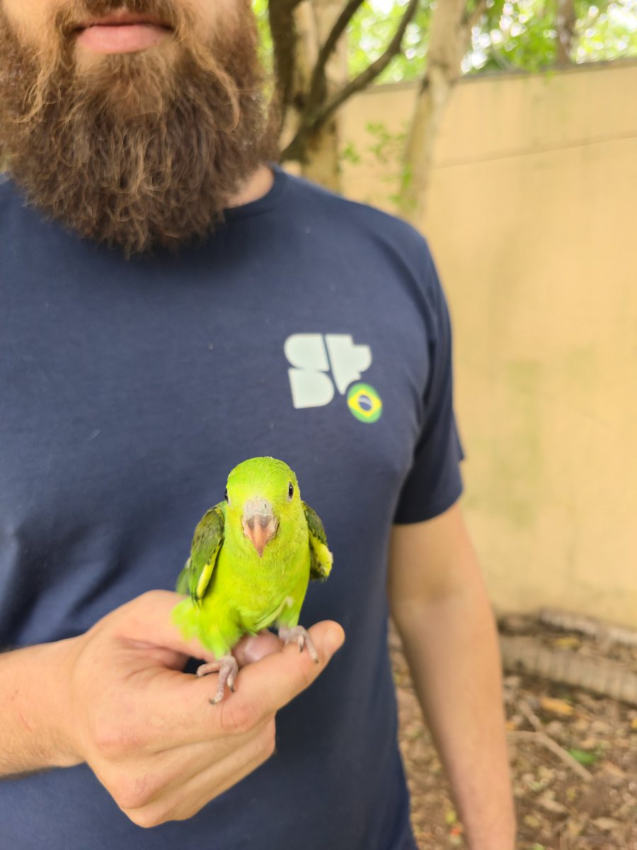 Antonio Neto tweet media