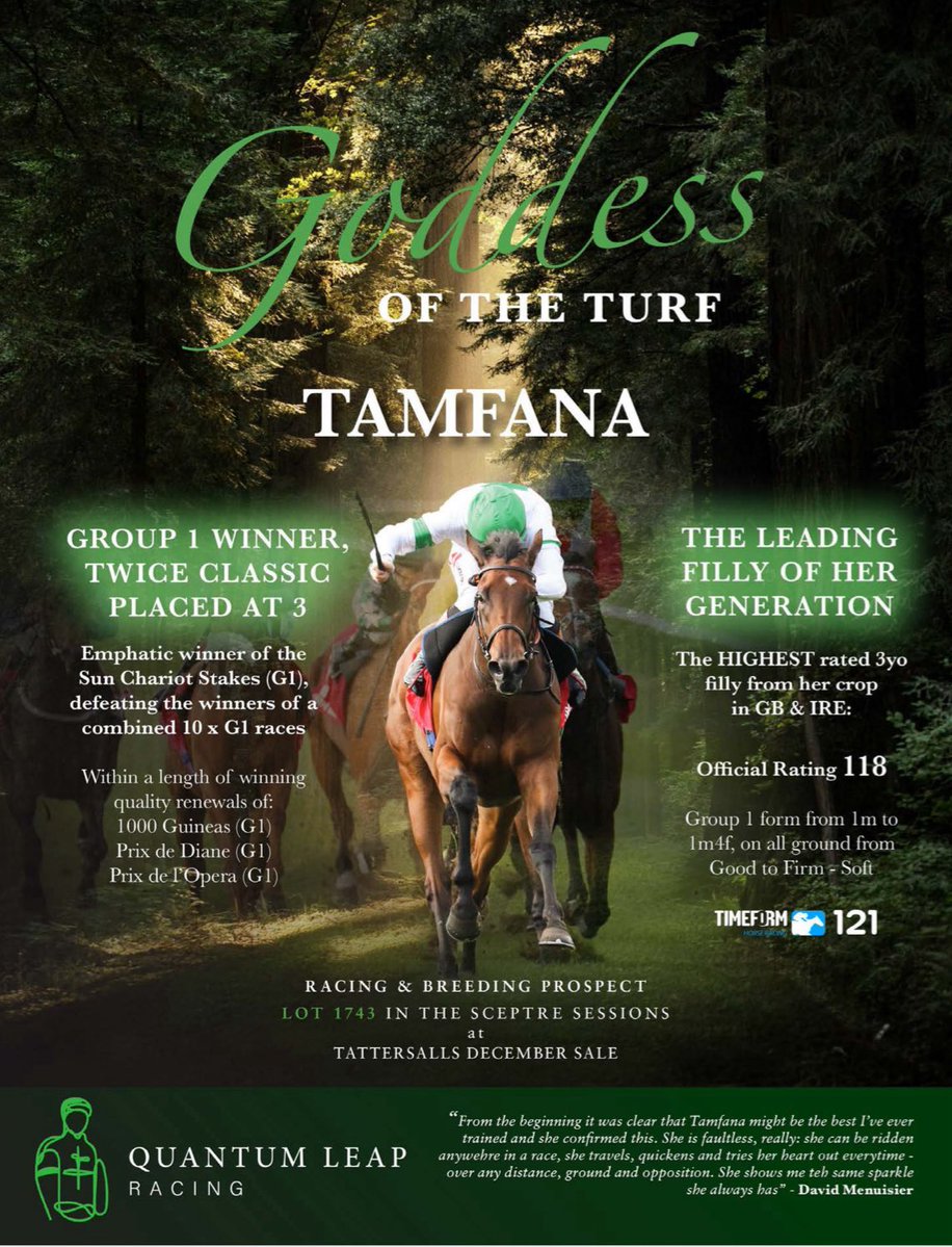 Tamfana, Goddess of the Turf ✨ Group 1 Winner, twice Classic-placed at 3…the Leading Filly of her Generation, being offered by <a href="/QuantumLeapRace/">Quantum Leap Racing</a> in the Sceptre Sessions at the <a href="/Tattersalls1766/">Tattersalls</a> December Sale.

secure.tattersalls.com/4DCGI/Entry/Lo…