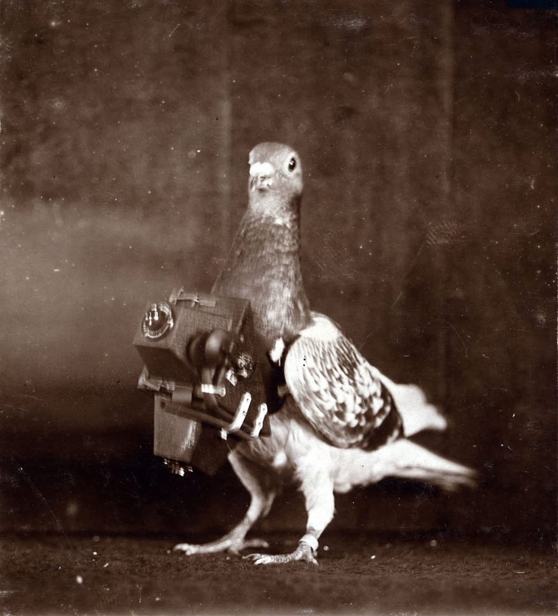 In 1908, a German apothecary fitted pigeons with tiny cameras, capturing hazy, dreamlike aerial photos—long before drones or airplanes made such images possible.