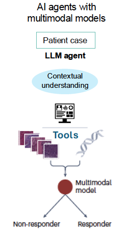 rdienstmann's tweet photo. #ESMOAI25 🔥topic: AI agents can transform Tumor Boards with #HealthAI
1⃣ Tools that orchestrate information retrieval
2⃣ Multimodal data integration
3⃣ Decision-support
@myESMO RWD and Digital Oncology Journal https://t.co/o8SQzPwre7 https://t.co/jWMk2Q8GJ1