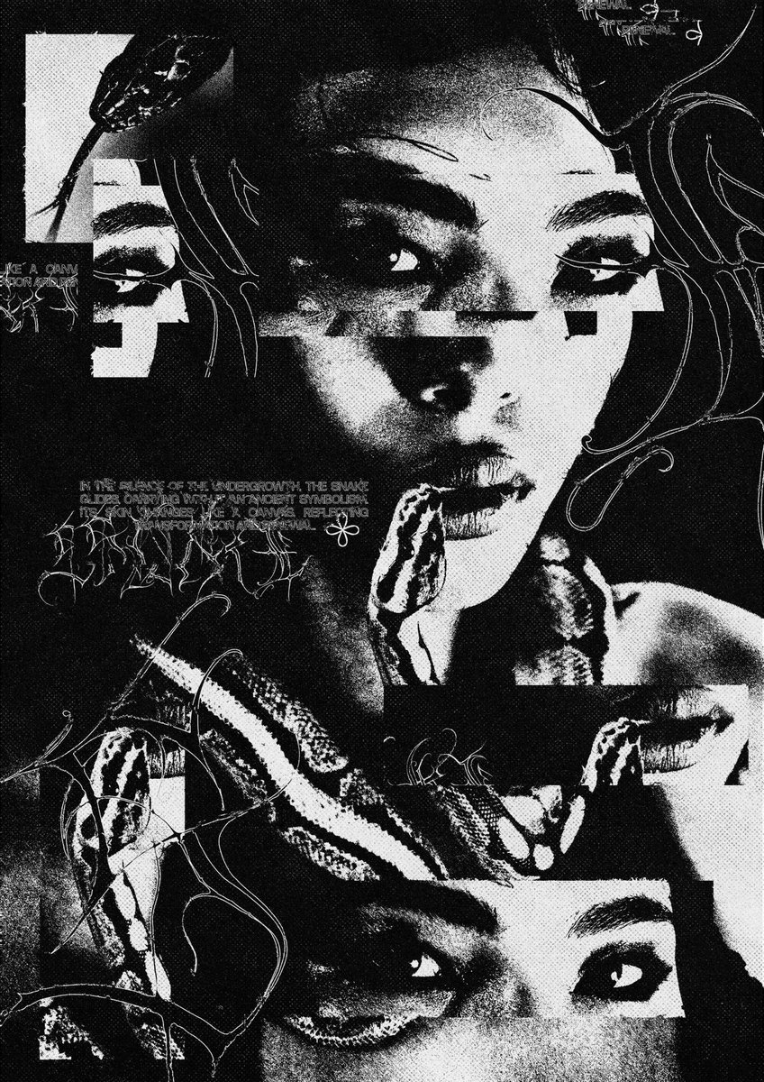 I’m Lucas, and this is what I create.