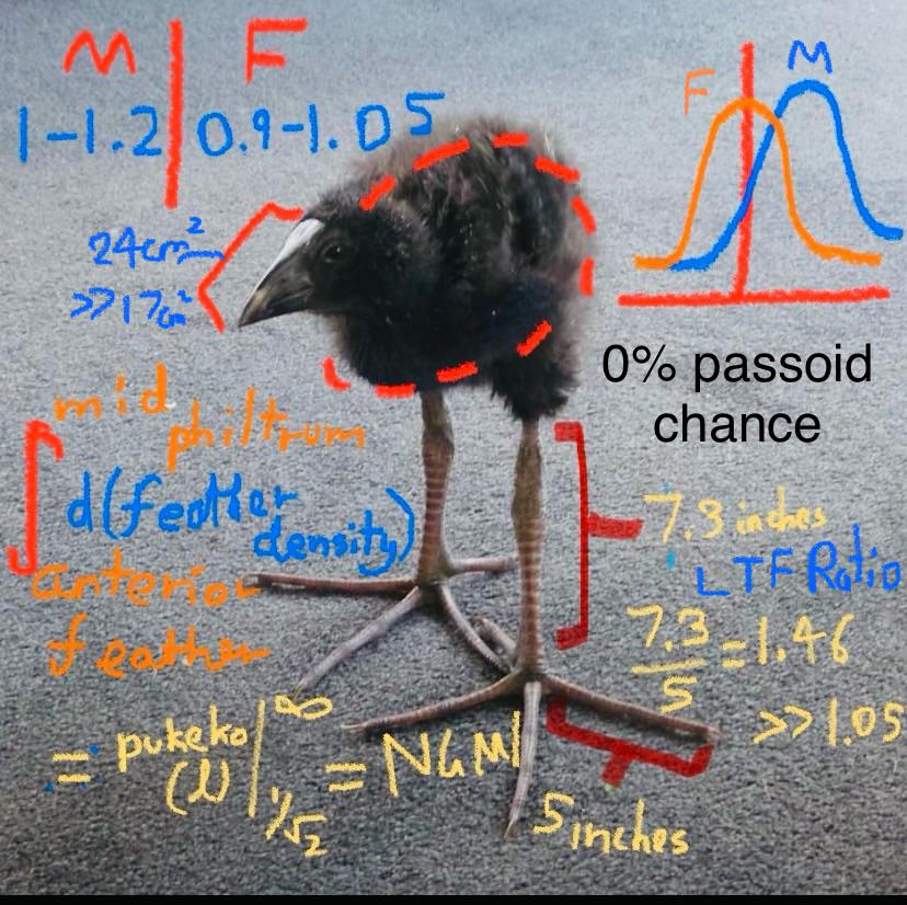 tttt_pics's tweet image. 