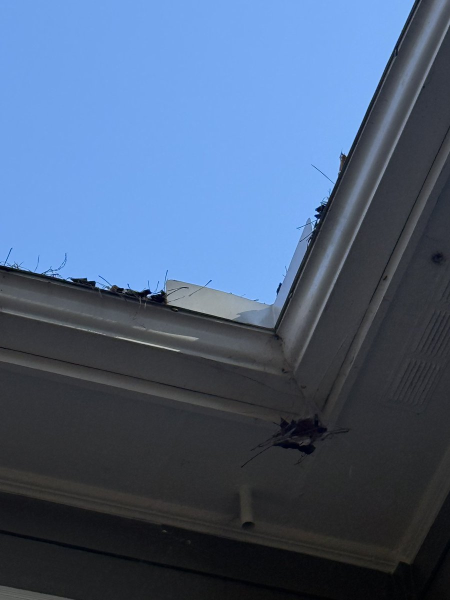 donhalchak's tweet photo. So I guess @LeafFilter isn’t going to fix this mess…  well they will but I have to pay them to do it… #nevergetonaladderagain #wastedmoney #leaffilter
#leaffilterreviews #gutterprotection #HomeImprovement https://t.co/imYX7MmxJV